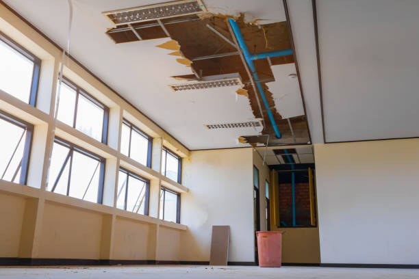 Best Flood damage cleanup  in Sauk City, WI