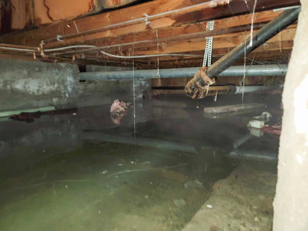 Best Ceiling water damage repair  in Sauk City, WI