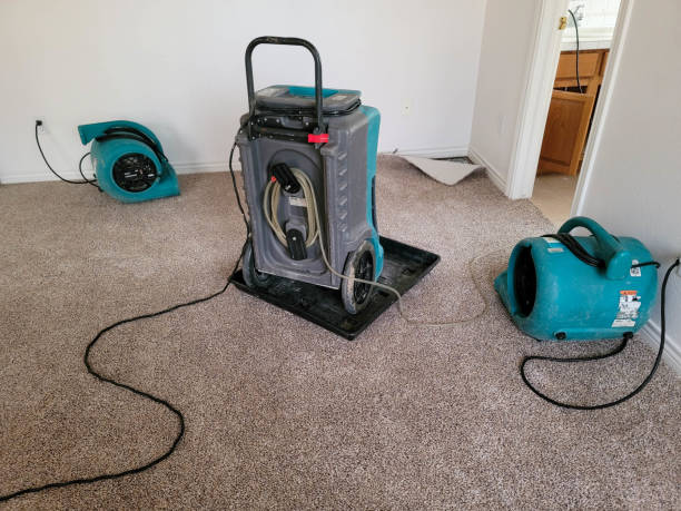 Best Residential water damage restoration  in Sauk City, WI