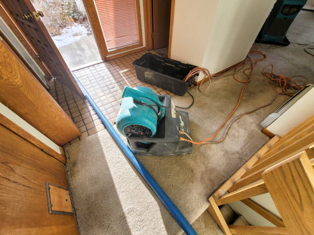 Best Fire Damage Restoration  in Sauk City, WI