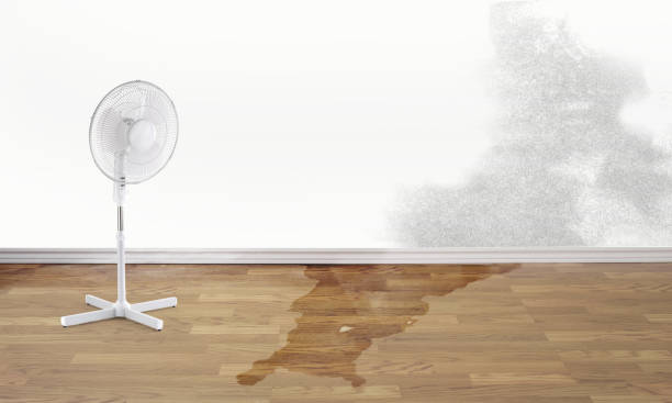 Best Water damage restoration cost  in Sauk City, WI