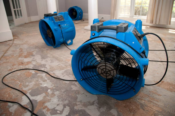 Best Professional water damage repair  in Sauk City, WI