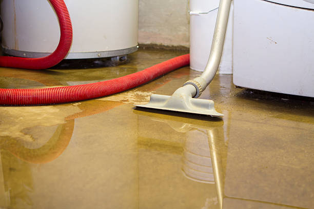 Best 24/7 water damage repair  in Sauk City, WI