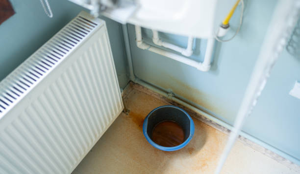 Best Mold removal after water damage  in Sauk City, WI
