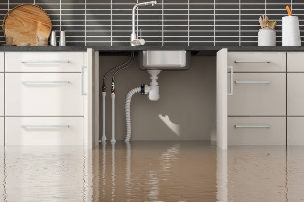 Best Flood damage cleanup  in Sauk City, WI