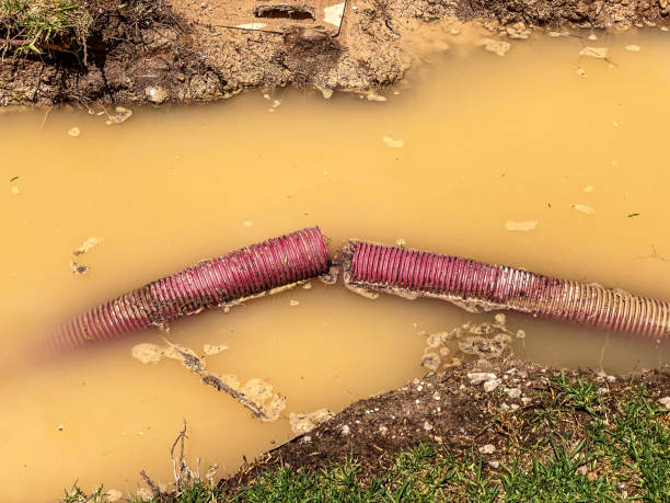 Best Basement water damage restoration  in Sauk City, WI