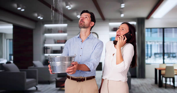 Best Ceiling water damage repair  in Sauk City, WI