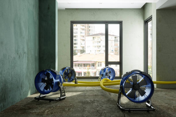 Best Local water damage restoration  in Sauk City, WI